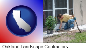 Oakland, California - a landscape contractor working on a landscaping project